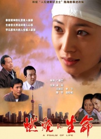 蜜桃视频成a人v在线
