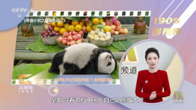 bibijonesav在线播放